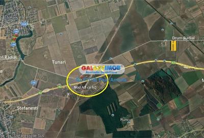 Teren intravilan de 65000 mp, în Moara Vlăsiei - 3