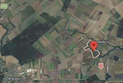 Teren de 550000 mp, în Belciugatele - 1