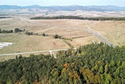 Teren Intravilan - Amplasare Unica - 40