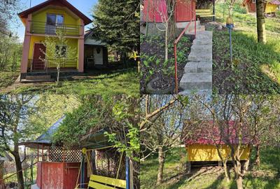 Casă cu 2 camere în Ațintiș - 3