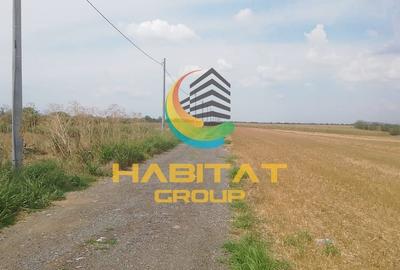 Teren 383 mp cu Utilitati, Achizitie Flexibila in Rate - 4