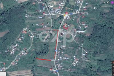 Teren Construcții intravilan de 21000 mp, în Bogați - 1