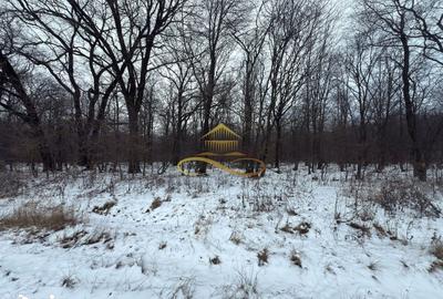 Teren de 2700 mp, în Berești - 3