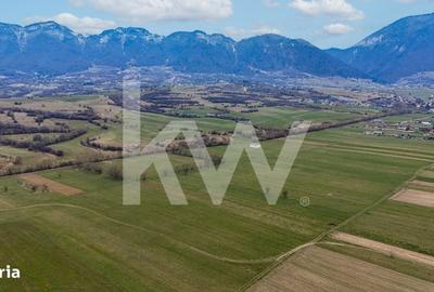 Spațiu comercial, în Plaiul Foii - 10