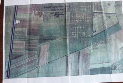 Teren agricol extravilan de 280288 mp, în Băneasa - 2