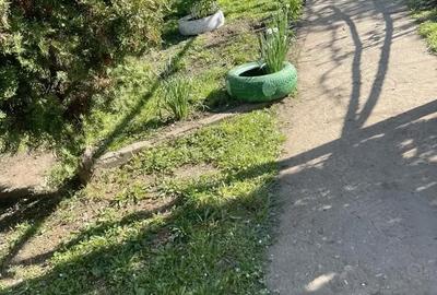 Casă cu 2 camere în Pogana - 9