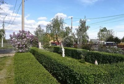 Casă cu 5 camere cu Teren 3000 Mp în Central