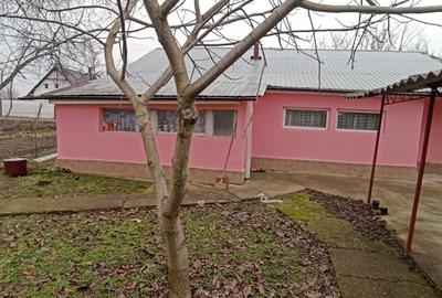 Vanzare casa 3 cam,baie,bucatarie, teren 2500mp in Bujoreni Alexandria Teleorman - 3
