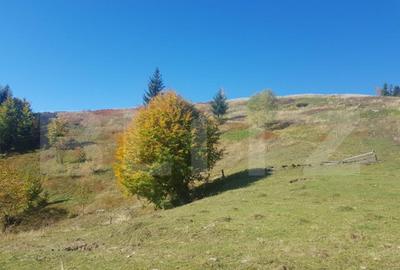 Super Oferta 5.2 euro/mp. Teren de vanzare in zona Arieseni - 10