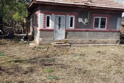 Casă în Central - 1