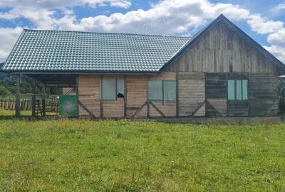 Casă cu Teren 10000 Mp în Neagra - 2