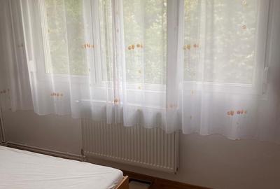 Apartament cu 2 camere semidecomandat în Take Ionescu - 7