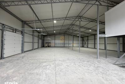 Spațiu comercial, de 589 mp, în Cernica - 5