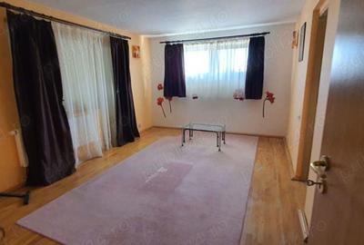 De vanzare casa individuala zona Lipovei la liziera padurii spre Dumbravi?a - 6