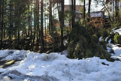 Teren de 835 mp, în Furnica - 1