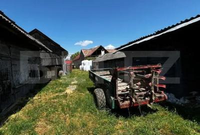 Casă cu 4 camere cu Teren 3300 Mp în Central - 6