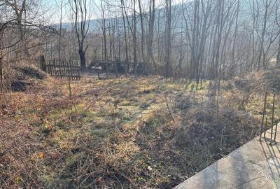 Vând casă Dp+P+M ,construcția C1 și terenul intravilan de 1265 mp - 8