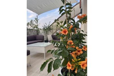 REA1025531 Timpuri Noi l Penthouse 3 camere l terasa 60 mp - 17