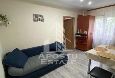 Apartament cu 2 camere semidecomandat în Șagului