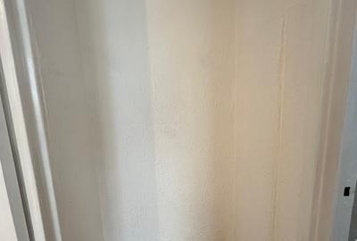 Apartament 2 camere cu boxa Pacurari renovat - 9