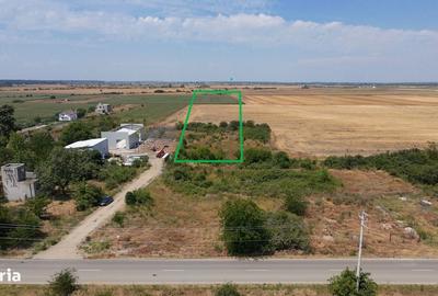 Teren de 7500 mp, în Clinceni - 3