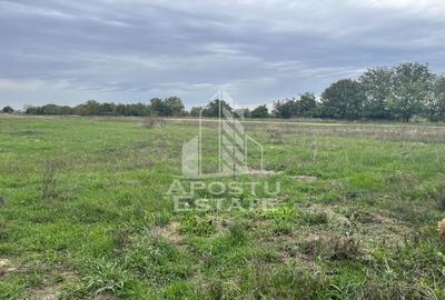 Teren 812 mp, PUZ aprobat P+2, Giroc - 2