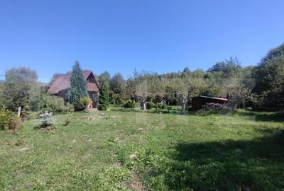 Teren extravilan 73 ari + cabana+lac de pesti,zona Slatinita - 1