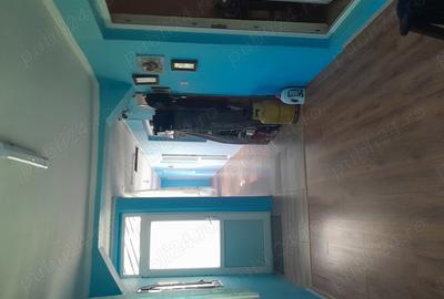 Vand casa la tara - 3