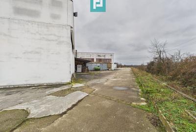 Hală de producție, cu birouri și teren, în Sebiș - 51