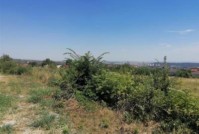 Teren Construcții extravilan de 1000 mp, în Horpaz - 2