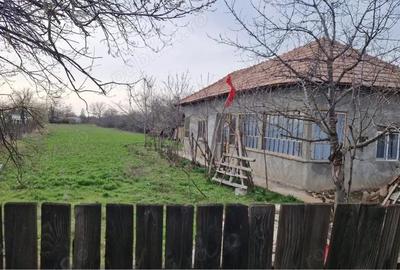 Casă cu Teren 2185 Mp în Stoicănești - 3