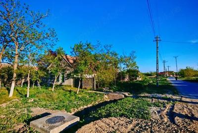Casă cu Teren 5000 Mp în Saravale - 3
