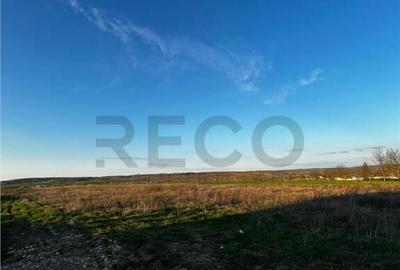 RECO Teren intravilan , Comuna Paleu , Bihor - 1