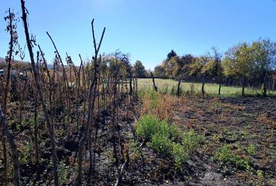 TEREN INTRAVILAN ȘI EXTRAVILAN POLOVRAGI-RACOVIȚA - 3