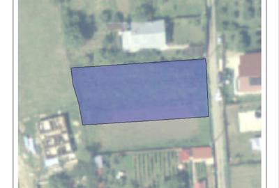 Spațiu comercial, în Aroneanu - 2