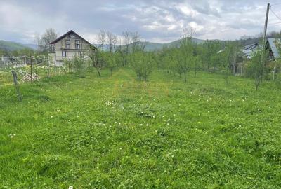 Teren Construcții intravilan de 4057 mp, în Ștefești - 2