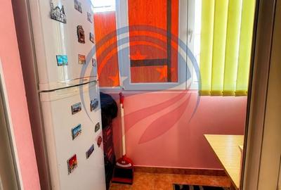 Apartament cu 2 camere semidecomandat, mobilat în Valea Rosie - 5