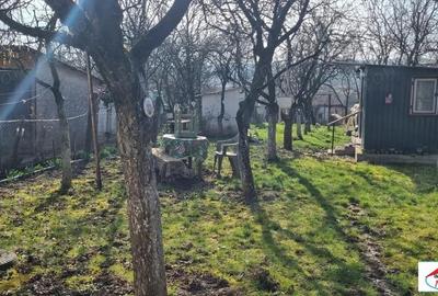 Teren de 1996 mp, în Viile Satu Mare - 8