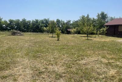 Spațiu comercial, în Budacu de Jos - 3