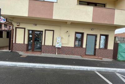 Spațiu comercial, în Coiciu - 2