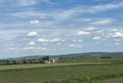 Casa + anexa de vanzare in Șura Mica - 116 mp, regim hotelier activ pe Booking Casa + anexa de vanzare in Șura Mica - 116 mp, regim hotelier activ pe Booking - 20