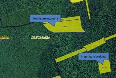 Teren extravilan padure, cota parte de 1/48 Horgesti, ID: R2325836 - 3
