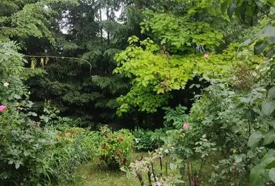 Casă cu 4 camere cu Canalizare în Tălii - 5
