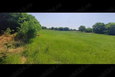 Teren de 2800 mp, în Lovrin - 1