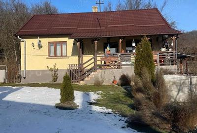 Casă cu 2 camere în Pustuța - 8