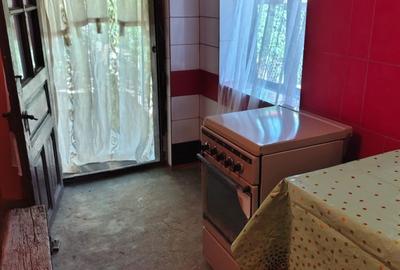 Casă cu 2 camere în Romanești - 4