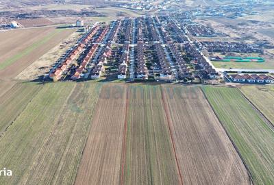 Spațiu comercial, în Paleu - 2