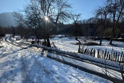 Teren de 2298 mp, în Malaia - 2