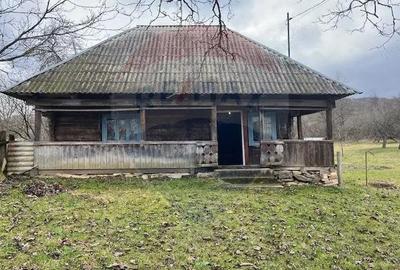 Casă cu 2 camere cu Teren 7295 Mp în Desești - 2