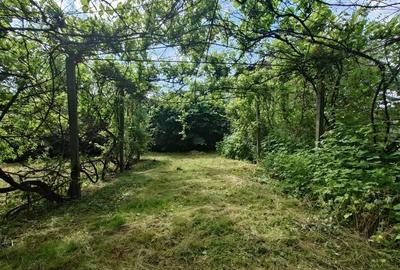 Casa, anexe si teren amplasate central in municipiul Brad - 10